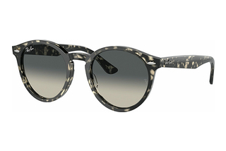 Ray-Ban RB7680S 133371