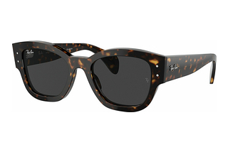 Ray-Ban RB7681S 902/48