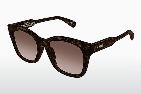Ophthalmic Glasses Chloé CH0194SK 002