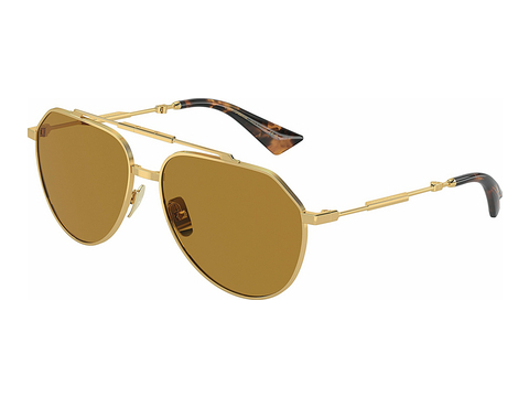 Ophthalmic Glasses Dolce & Gabbana DG2302 02/53