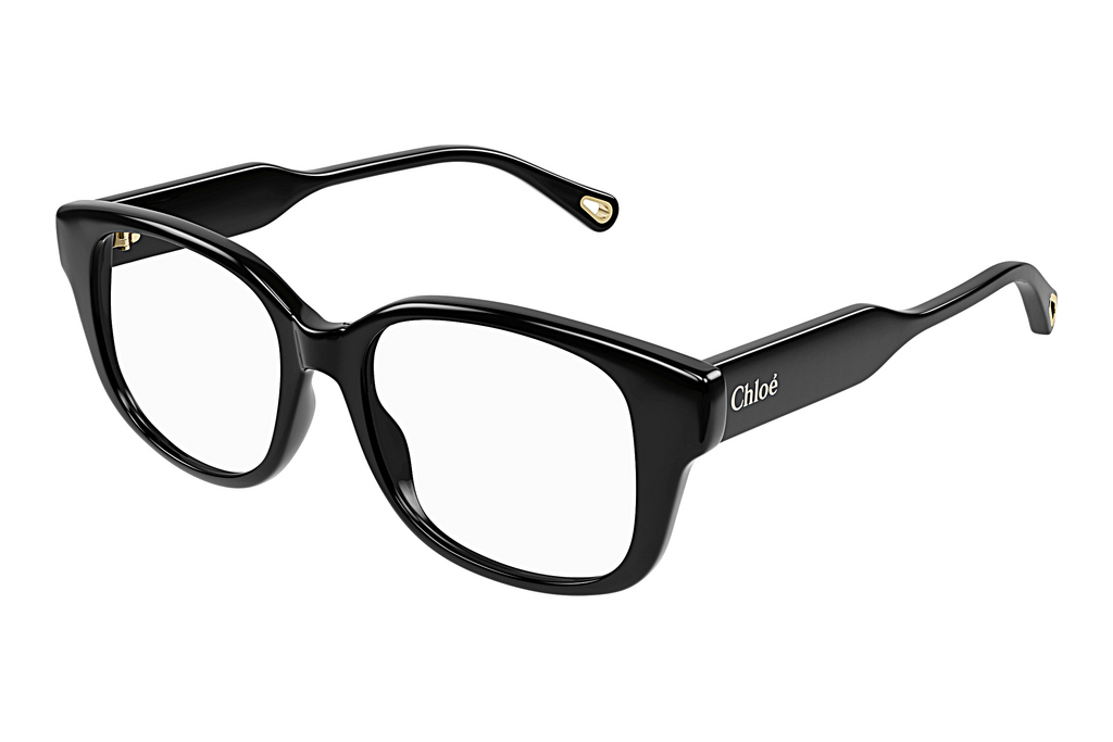 Chloé   CH0198O 001 BLACK