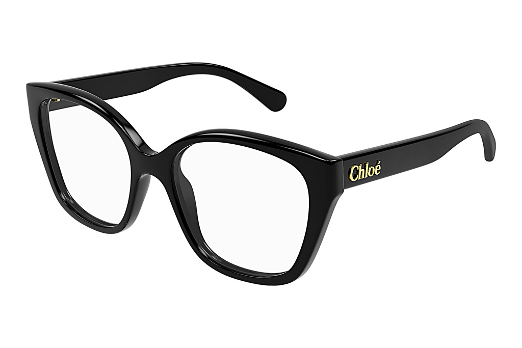 Chloé   CH0241O 001 BLACK