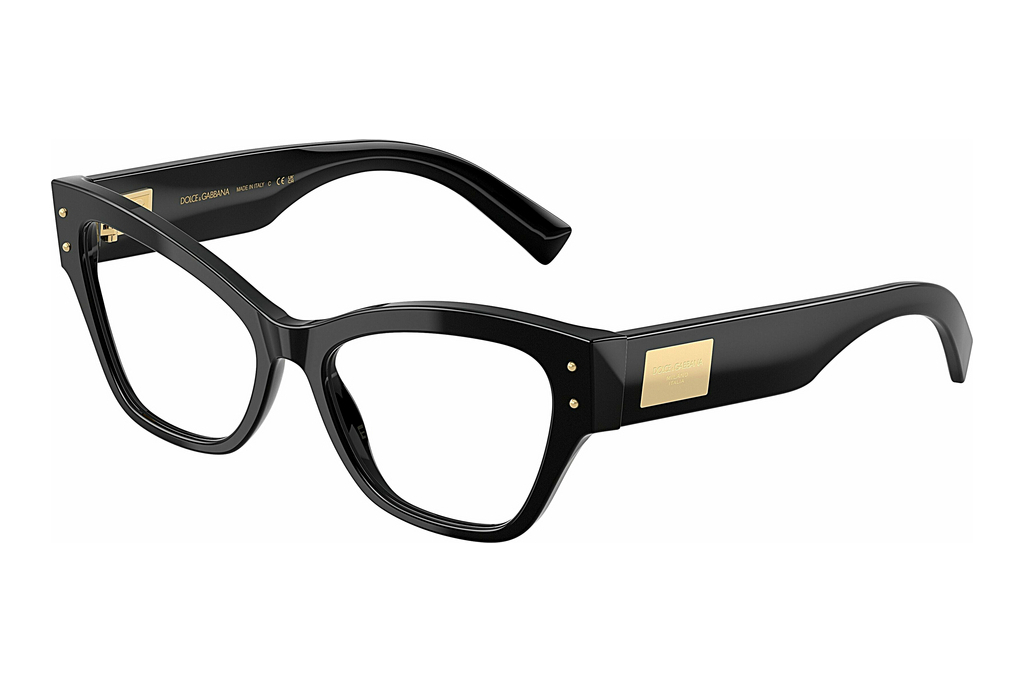 Dolce & Gabbana   DG3404 501 Black