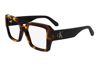 Calvin Klein CKJ24635 235 BROWN HAVANA