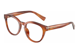 Dolce & Gabbana DG3421 3221 Striped Ginger