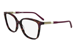 Lacoste L2985 211 BROWN HAVANA PURPLE