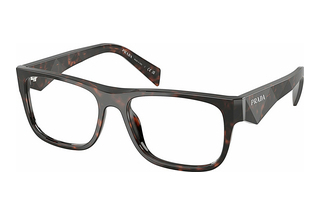 Prada PR 22ZV 17N1O1 Root Tortoise