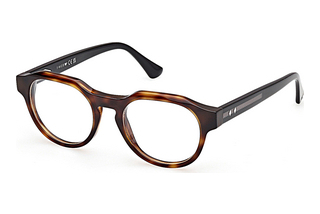 Web Eyewear WE5421 055 Havanna/Einfarbig