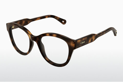 Eyewear Chloé CH0163O 006