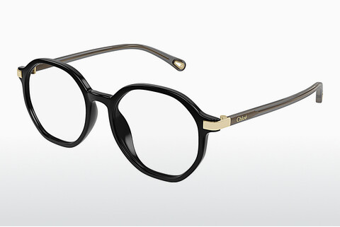 Eyewear Chloé CH0249OA 001