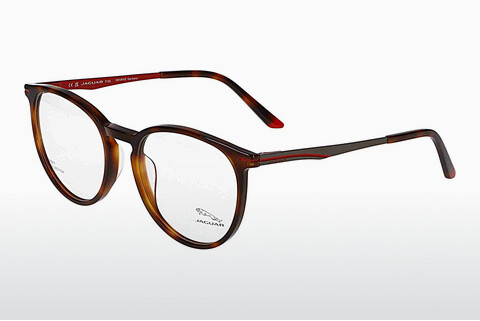 Eyewear Jaguar 32502 4982