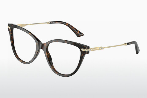 Eyewear Jimmy Choo JC3001B 5002