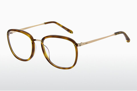 Eyewear Maje 421012 601