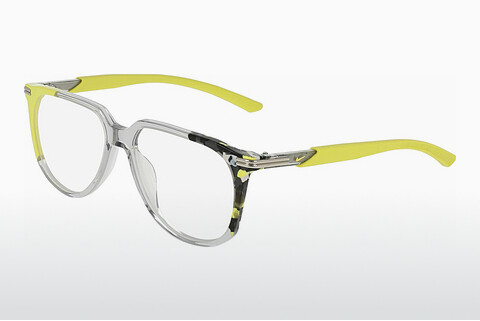 Eyewear Nike NIKE 7309 030