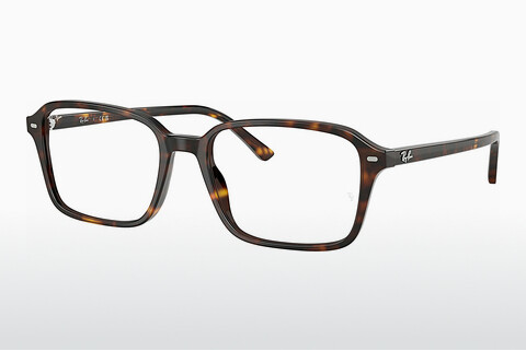 Eyewear Ray-Ban RAIMOND (RX5431 2012)