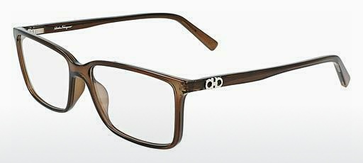 Eyewear Salvatore Ferragamo SF2894 210