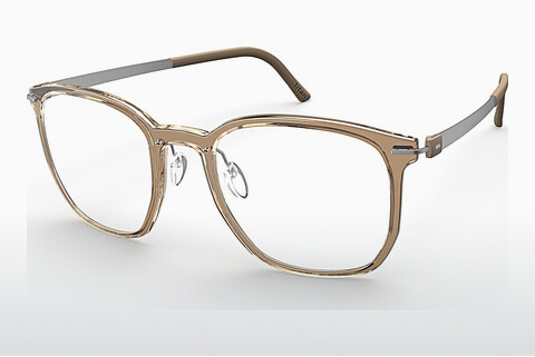 Eyewear Silhouette Infinity View (2952 6060)