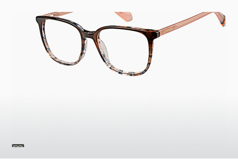 Eyewear Superdry SDO 3023 102