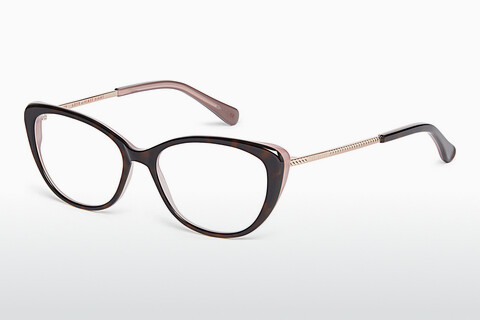 Eyewear Ted Baker 399198 250