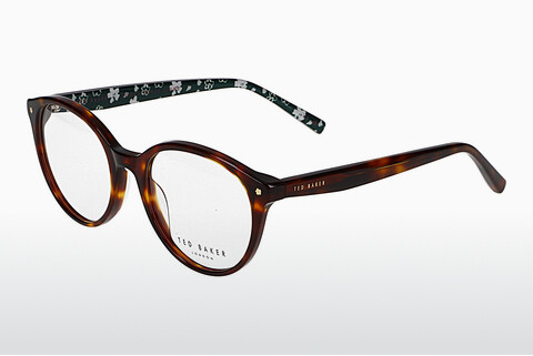 Eyewear Ted Baker 399253 589