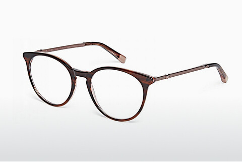 Eyewear Ted Baker 9196 152