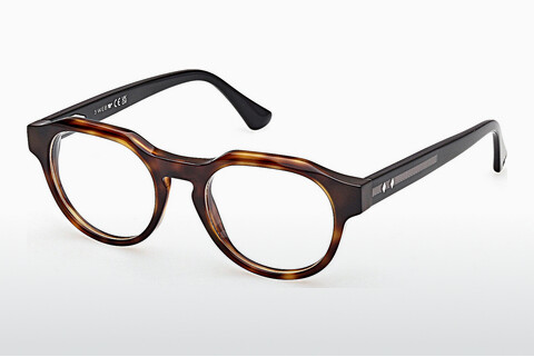 Eyewear Web Eyewear WE5421 055