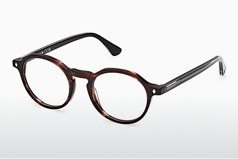 Eyewear Web Eyewear WE5440 052