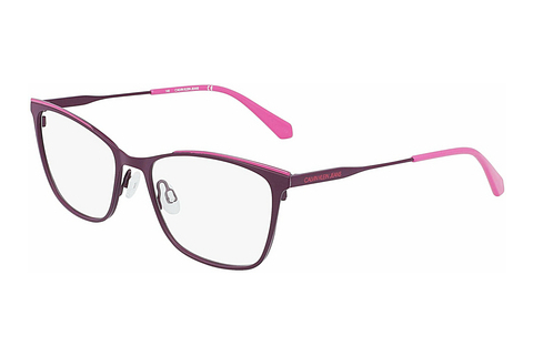 Eyewear Calvin Klein CKJ21207 508