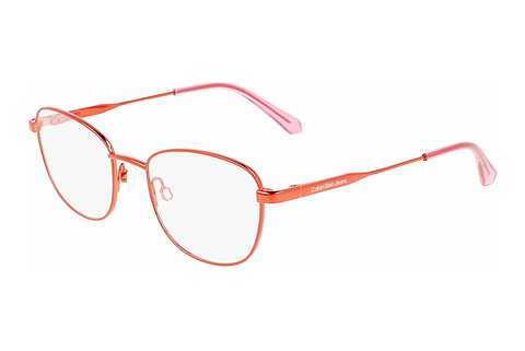 Eyewear Calvin Klein CKJ22306 679