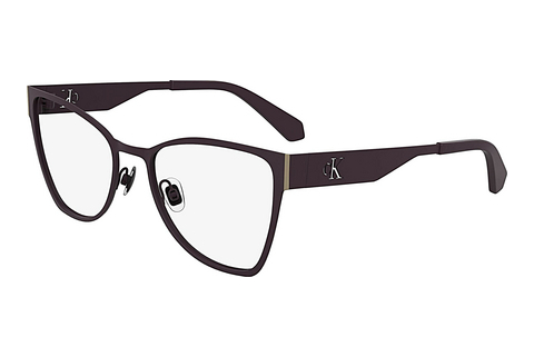 Eyewear Calvin Klein CKJ24210 505