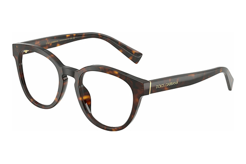 Eyewear Dolce & Gabbana DG3421 502