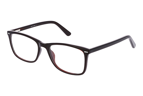 Eyewear Fraymz AC2 F