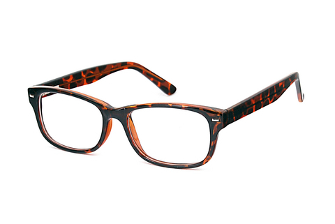 Eyewear Fraymz CP182 D