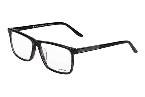 Eyewear Jaguar 31031 5318