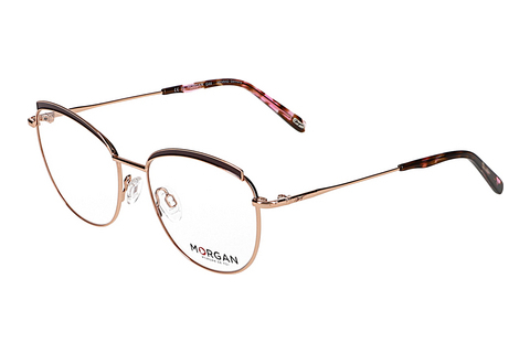 Eyewear Morgan 203233 3500