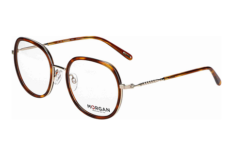 Eyewear Morgan 203272 5424