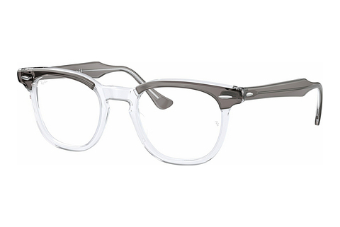 Eyewear Ray-Ban HAWKEYE (RX5398 8111)