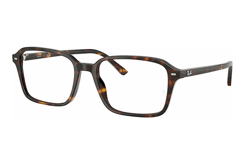 Eyewear Ray-Ban RAIMOND (RX5431 2012)