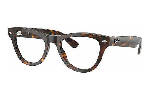 Eyewear Ray-Ban RX5510 2012