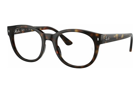 Eyewear Ray-Ban RX7227 2012