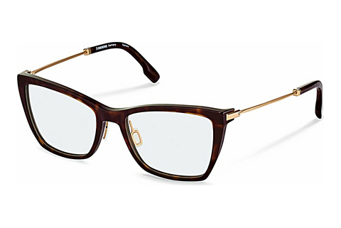 Eyewear Rodenstock R8035 B000