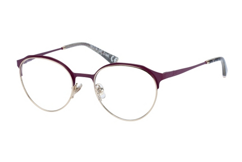 Eyewear Superdry SDO Sanita 060