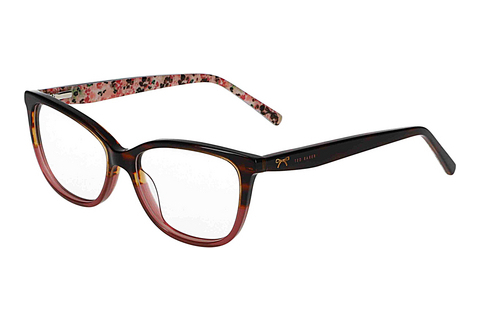 Eyewear Ted Baker 391007 137