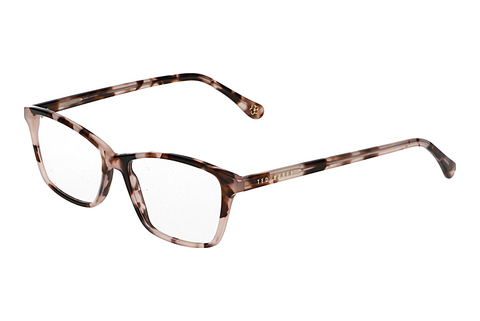 Eyewear Ted Baker 399235 144