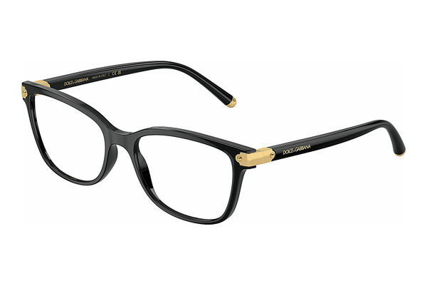 Eyewear Dolce & Gabbana DG5036 501