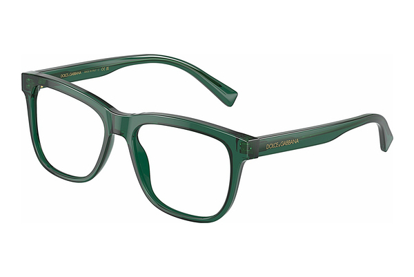 Eyewear Dolce & Gabbana DX3356 3008