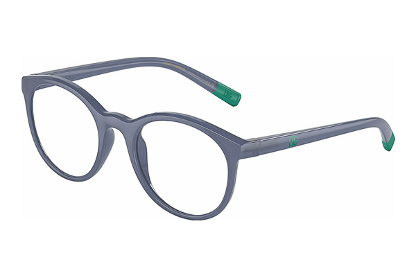 Eyewear Dolce & Gabbana DX5095 3040