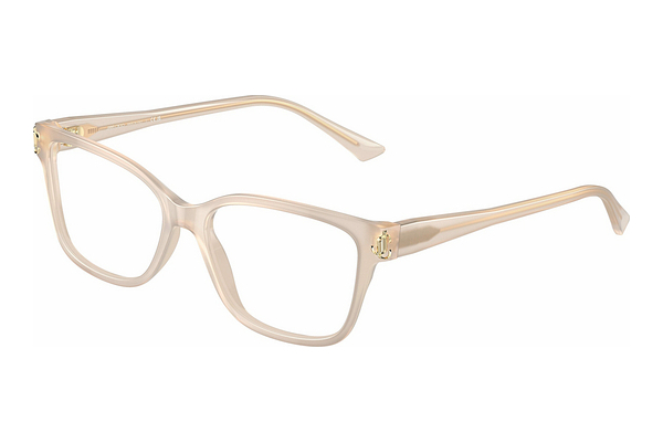 Eyewear Jimmy Choo JC3012 5025