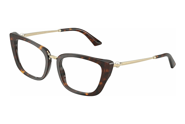 Eyewear Jimmy Choo JC3034HB 5002