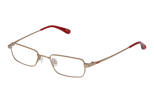 Eyewear Puma PU15241 BE